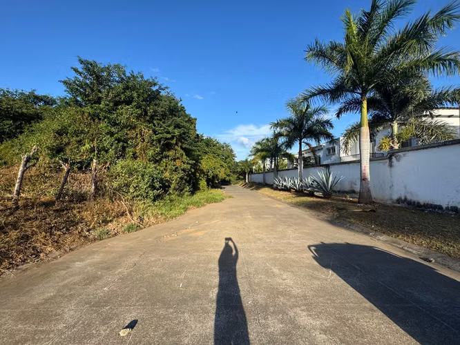 Land for sale in Las Colinas | 10 acres