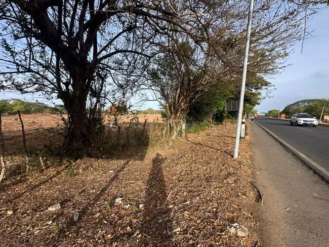 Se vende desde 1 manzana, sobre la carretera Granada