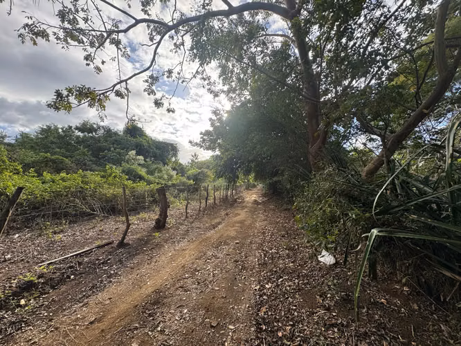 Venta de Terreno en Las Colinas - Imagen 15