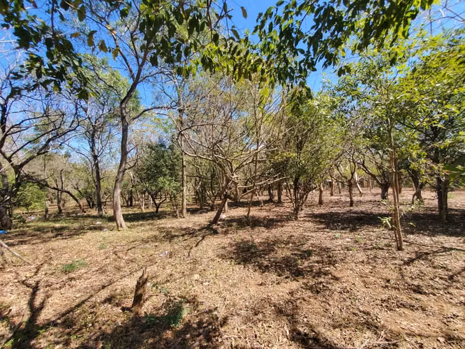 GA-Vendo finca en Carretera Tipitapa, Masaya km 34.5