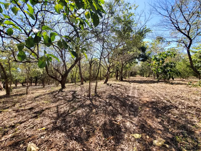 GA-Vendo finca en Carretera Tipitapa, Masaya km 34.5