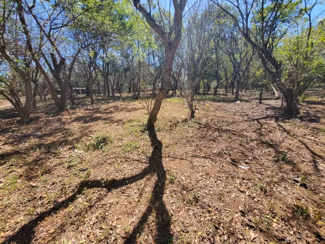 GA-Vendo finca en Carretera Tipitapa, Masaya km 34.5
