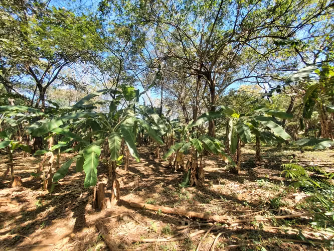 GA-Vendo finca en Carretera Tipitapa, Masaya km 34.5