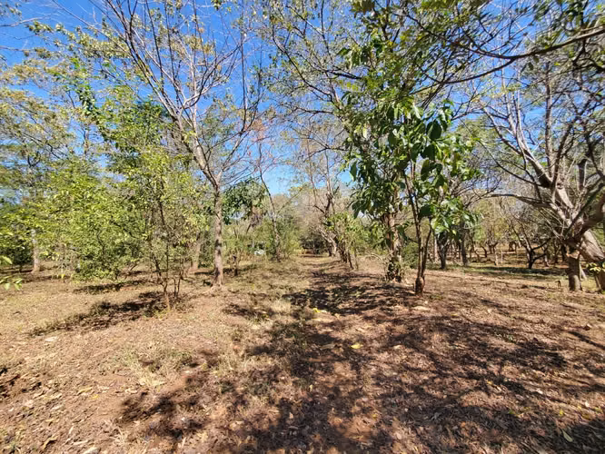 GA-Vendo finca en Carretera Tipitapa, Masaya km 34.5