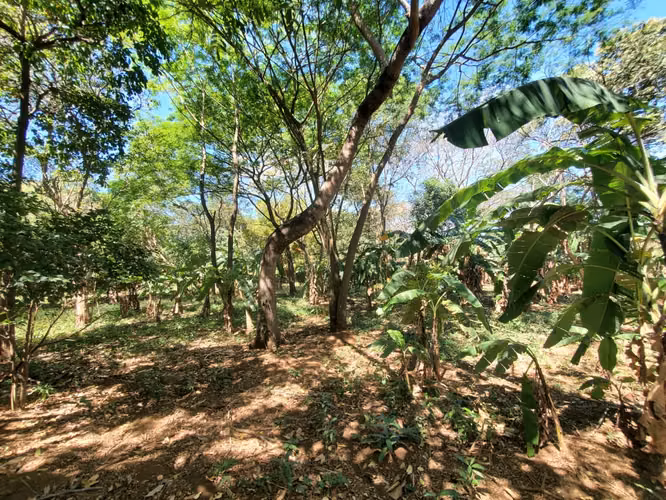 GA-Vendo finca en Carretera Tipitapa, Masaya km 34.5