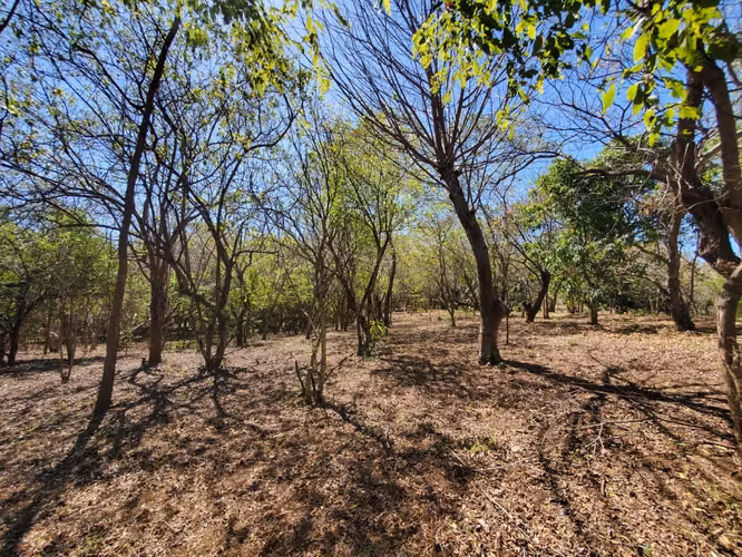 GA-Vendo finca en Carretera Tipitapa, Masaya km 34.5