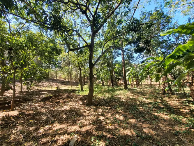 GA-Vendo finca en Carretera Tipitapa, Masaya km 34.5