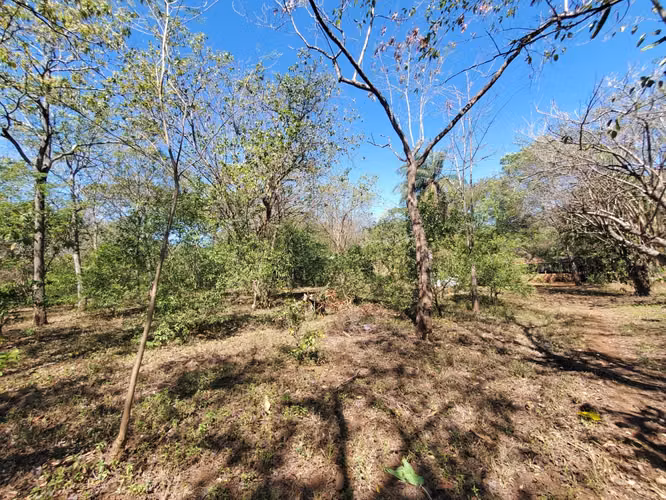 GA-Vendo finca en Carretera Tipitapa, Masaya km 34.5