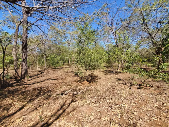 GA-Vendo finca en Carretera Tipitapa, Masaya km 34.5