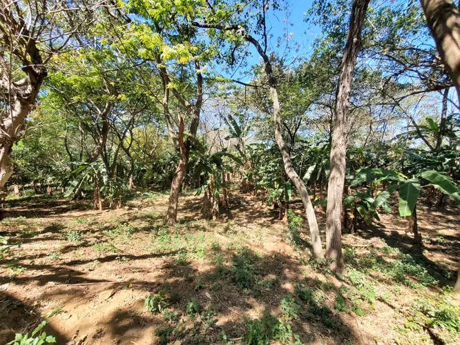 GA-Vendo finca en Carretera Tipitapa, Masaya km 34.5
