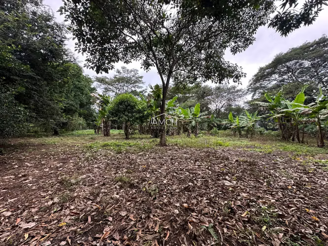 AM-¡GANGA! SE VENDE QUINTA EN LAS CUATROS ESQUINAS, ENTRE MANAGUA Y TICUANTEPE