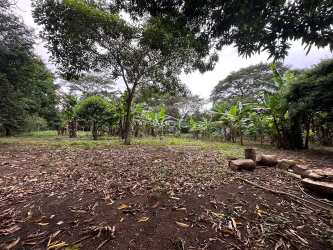 AM-¡GANGA! SE VENDE QUINTA EN LAS CUATROS ESQUINAS, ENTRE MANAGUA Y TICUANTEPE