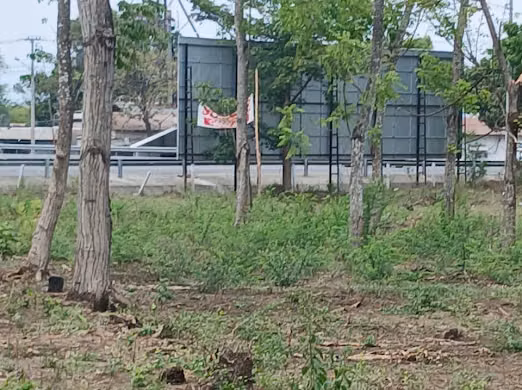 Se Venden 2  MZ  de Terreno