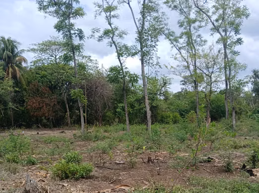 Se Venden 2  MZ  de Terreno