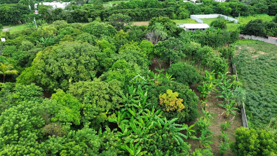 LL - Se Vende Terreno de 16,237 v² en Veracruz - Imagen 20