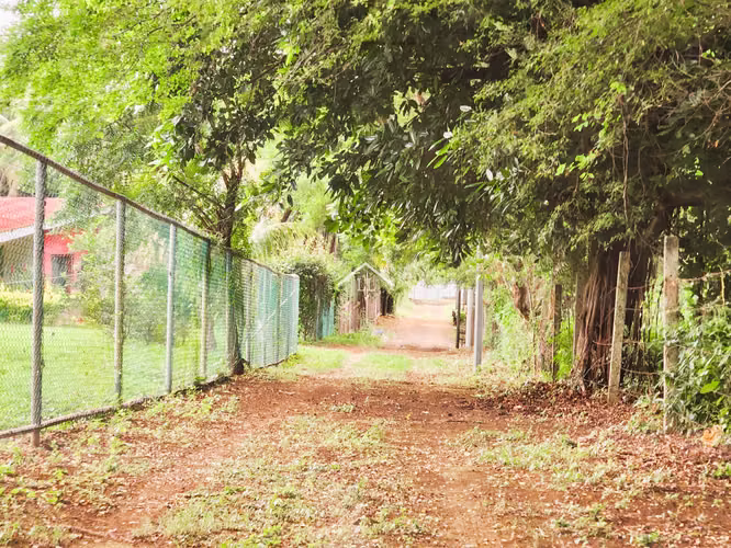LL - Se Vende Terreno de 16,237 v² en Veracruz - Imagen 19