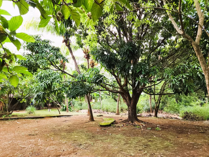 LL - Se Vende Terreno de 16,237 v² en Veracruz - Imagen 16