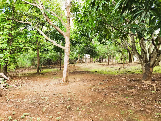 LL - Se Vende Terreno de 16,237 v² en Veracruz - Imagen 14