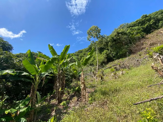 Venta de Finca a 3 km de Carretera a Masaya | 9.67 manzanas - Imagen 5
