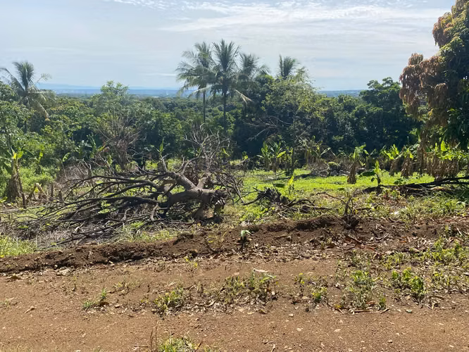 Venta de Finca a 3 km de Carretera a Masaya | 9.67 manzanas - Imagen 16