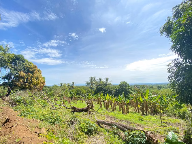 Venta de Finca a 3 km de Carretera a Masaya | 9.67 manzanas - Imagen 4