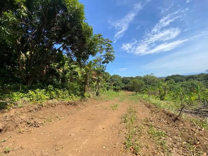 Venta de Finca a 3 km de Carretera a Masaya | 9.67 manzanas - Imagen 11