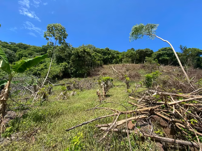 Venta de Finca a 3 km de Carretera a Masaya | 9.67 manzanas - Imagen 8
