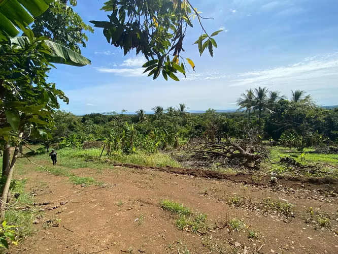 Venta de Finca a 3 km de Carretera a Masaya | 9.67 manzanas - Imagen 3
