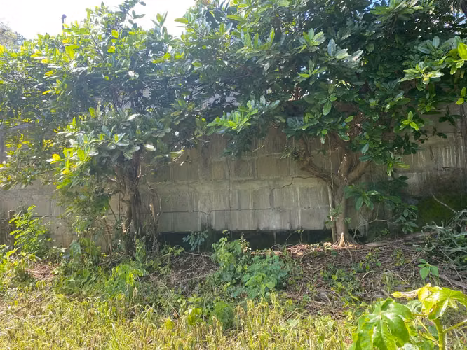 Venta de Finca a 3 km de Carretera a Masaya | 9.67 manzanas - Imagen 17