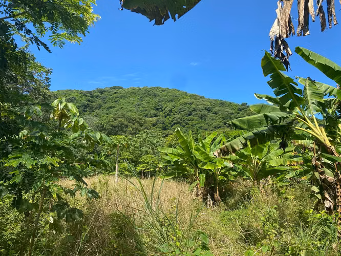 Venta de Finca a 3 km de Carretera a Masaya | 9.67 manzanas - Imagen 2