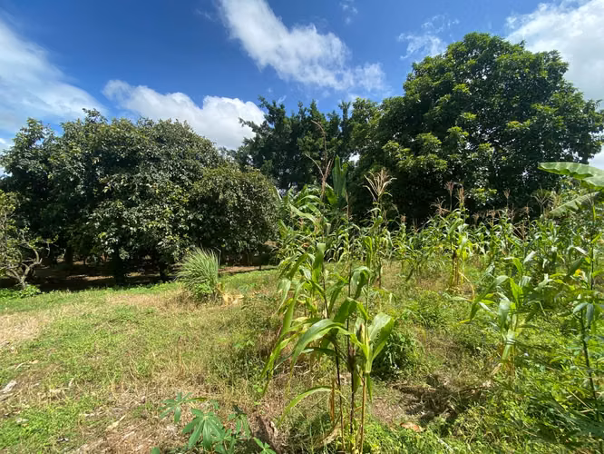 Terreno en Venta de 4,657.70 v² cerca de Carretera a Masaya - Imagen 8