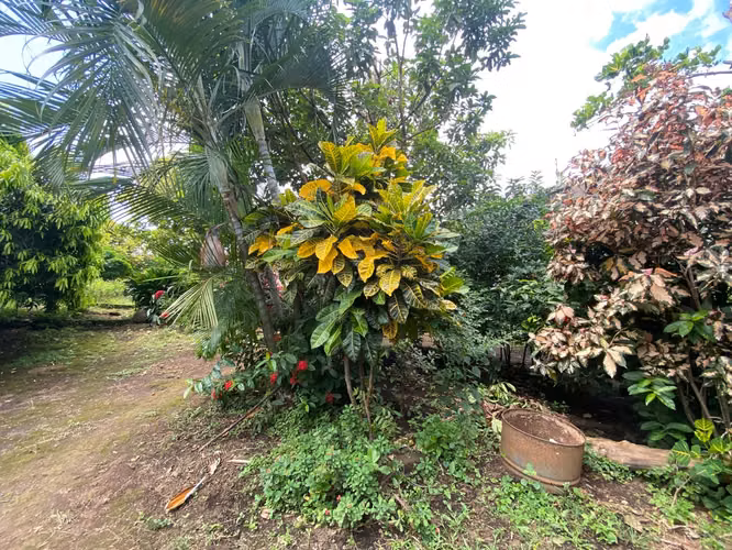 Terreno en Venta de 4,657.70 v² cerca de Carretera a Masaya - Imagen 11