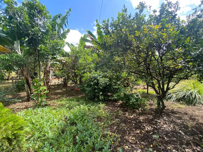 Terreno en Venta de 4,657.70 v² cerca de Carretera a Masaya - Imagen 14
