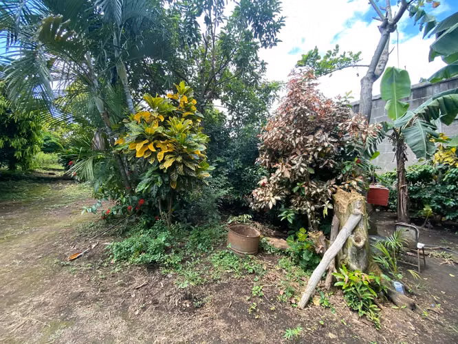 Terreno en Venta de 4,657.70 v² cerca de Carretera a Masaya - Imagen 19