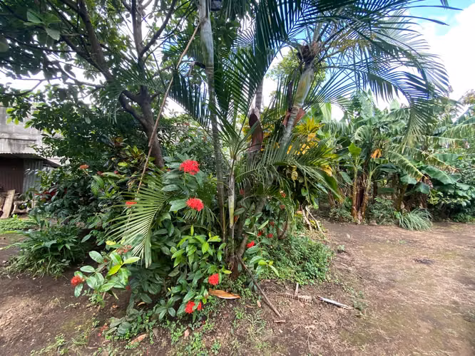 Terreno en Venta de 4,657.70 v² cerca de Carretera a Masaya - Imagen 9