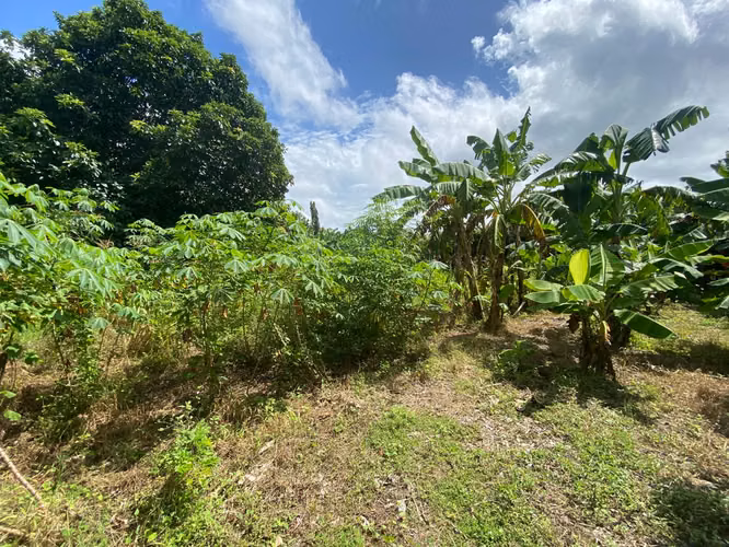 Terreno en Venta de 4,657.70 v² cerca de Carretera a Masaya - Imagen 12