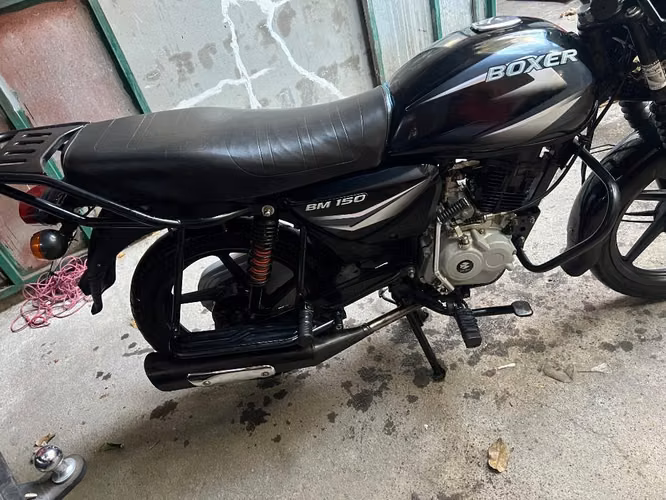 Linda boxer 150