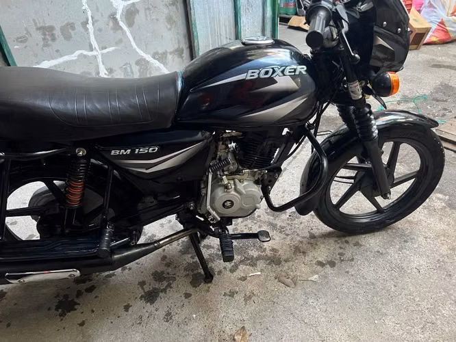 Linda boxer 150