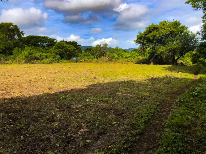  ¡Amplio lote disponible en Km 13 Carretera Vieja a León!  - Imagen 7