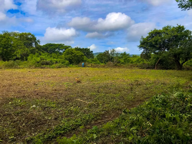  ¡Amplio lote disponible en Km 13 Carretera Vieja a León!  - Imagen 2