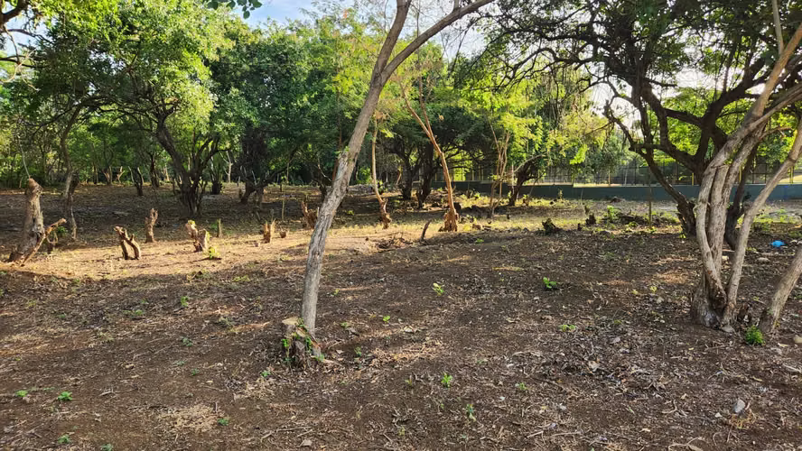  Amplio terreno en venta – Km 12.5 Carretera a Masaya