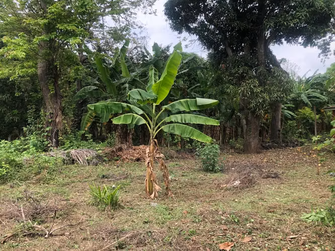 Venta de Terreno cerca de Carretera a Masaya
