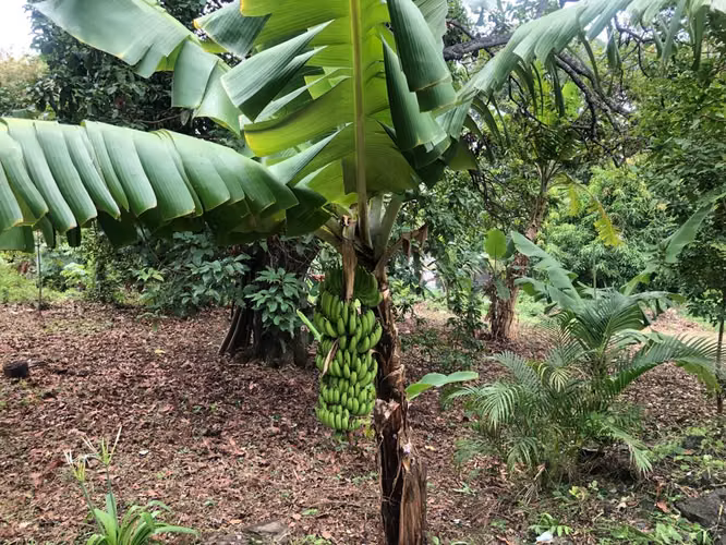 Venta de Terreno cerca de Carretera a Masaya