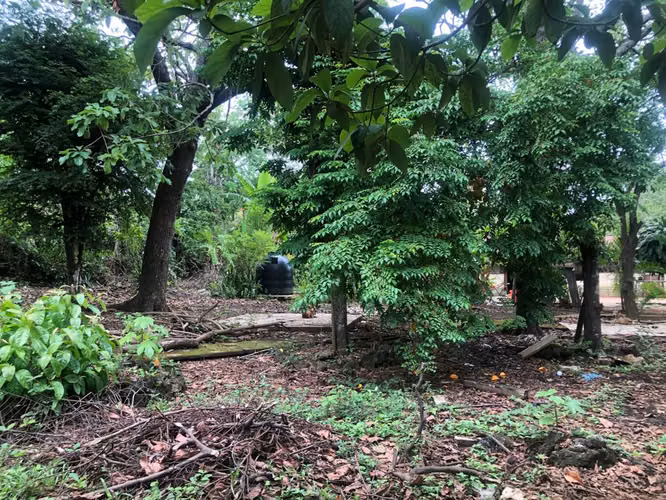 Venta de Terreno cerca de Carretera a Masaya
