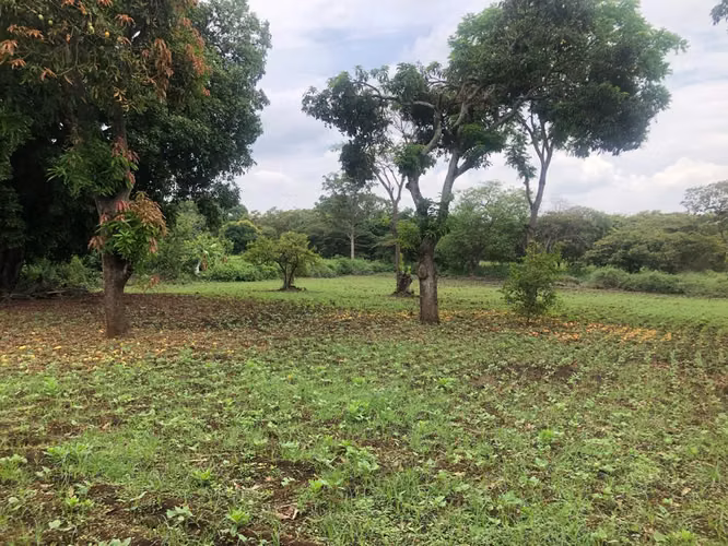 Venta de Terreno cerca de Carretera a Masaya
