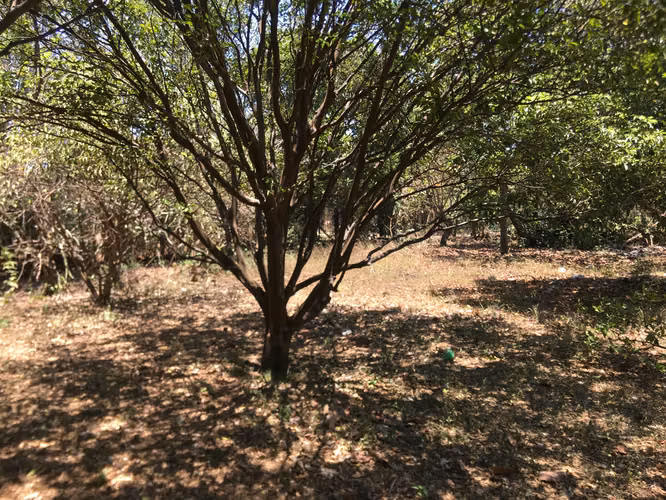 Venta de Terreno esquinero con casa en Carretera a Masaya