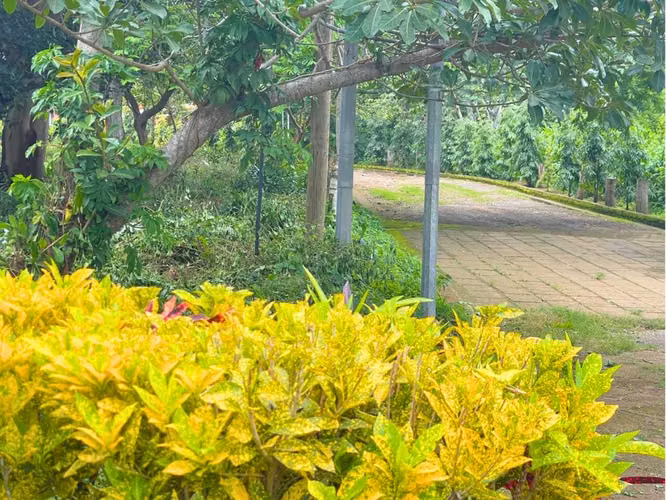 Lote en Residencial Santa Regina, Diriamba