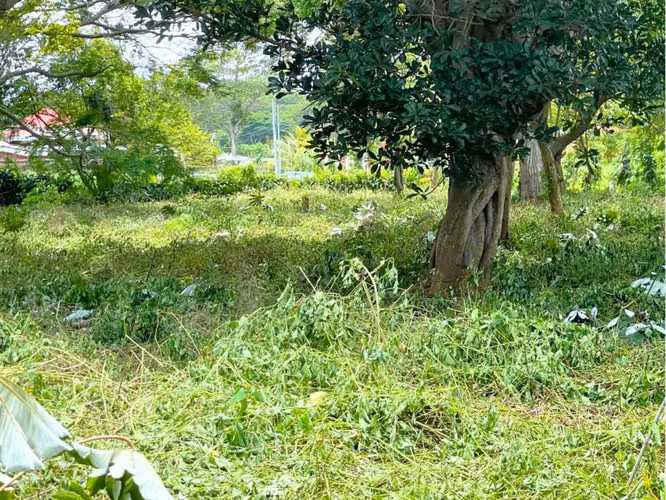 Lote en Residencial Santa Regina, Diriamba