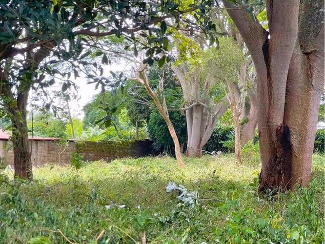 Lote en Residencial Santa Regina, Diriamba