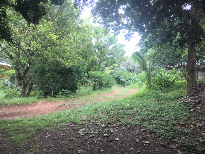 Venta de casa carretera hacia Verazcruz - Imagen 5